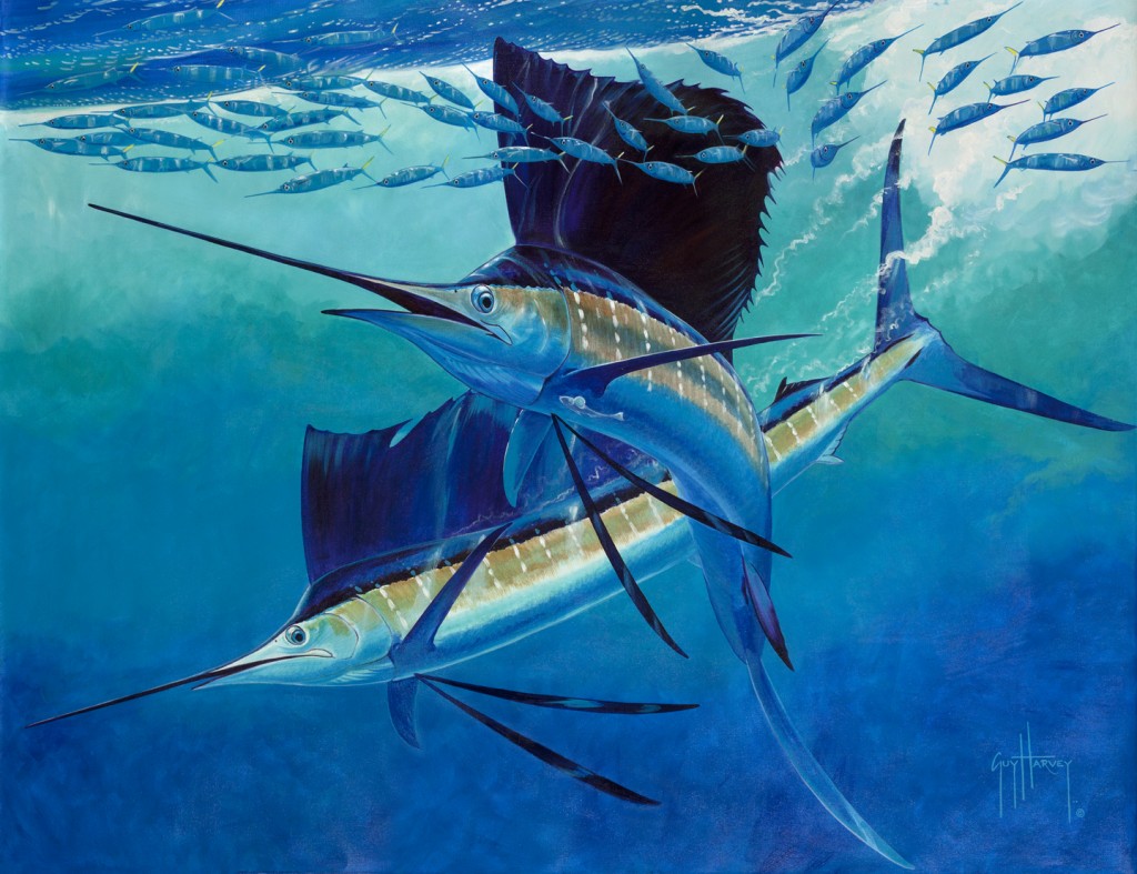 guy harvey wallpaper hd